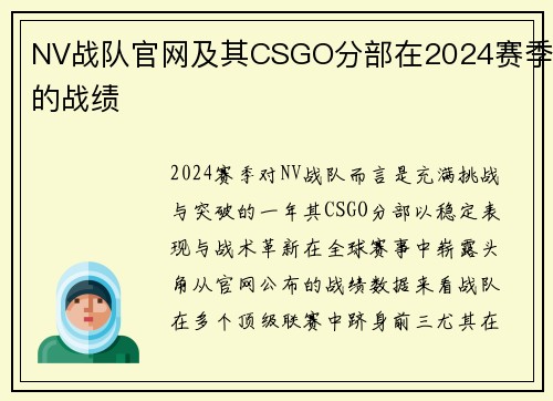 NV战队官网及其CSGO分部在2024赛季的战绩